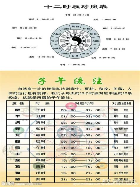 地支 辰|天支地支 十二时辰对照表